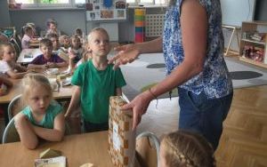 Pszczółki tworzą kotka z gliny (6)