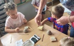 Pszczółki tworzą kotka z gliny (6)