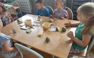 Pszczółki tworzą kotka z gliny (11)