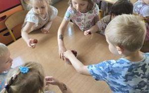Letnie przysmaki w grupie Krasnale (14)