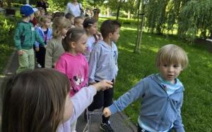 Letnie przysmaki w grupie Krasnale (4)