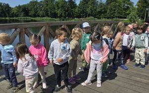 Letnie przysmaki w grupie Krasnale (13)