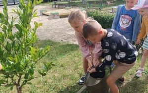 Drzewko pamięci - grupa Zuchy (8)