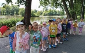 Wyjście na lody - grupa Zuchy (4)
