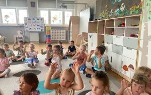 Czym podróżujemy? - grupa Pszczółki  (13)