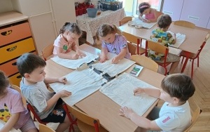 Ekotorby (5)