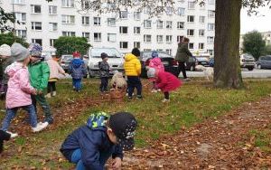 Krasnale na świeżym powietrzu (5)