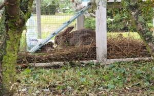 Krasnale na świeżym powietrzu (9)