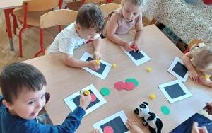 Bezpieczeństwo na drodze - grupa Smerfy  (4)