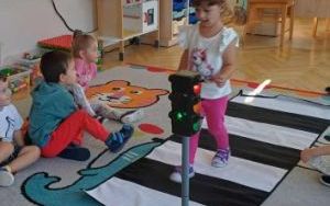 Bezpieczeństwo na drodze - grupa Smerfy  (5)