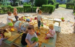 Bezpieczeństwo na drodze - grupa Smerfy  (14)