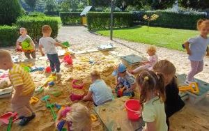 Bezpieczeństwo na drodze - grupa Smerfy  (17)