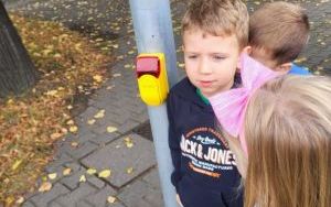 Słoneczka poznają zasady ruchu drogowego (2)