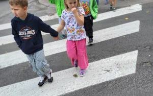 Słoneczka poznają zasady ruchu drogowego (4)