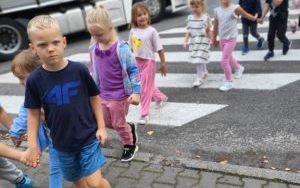 Słoneczka poznają zasady ruchu drogowego (5)