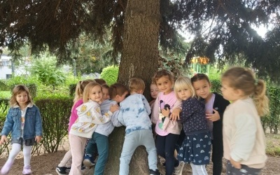 Ruch drogowy  (4)