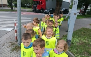 Ruch drogowy  (8)