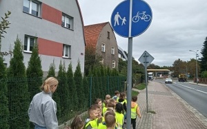 Ruch drogowy  (11)