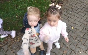 Ruch drogowy  (2)