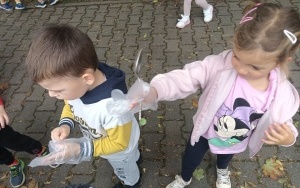 Ruch drogowy  (11)