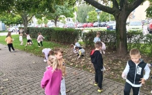 Ruch drogowy  (5)