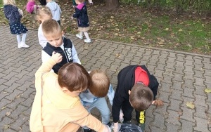 Ruch drogowy  (7)