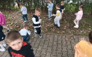 Ruch drogowy  (9)