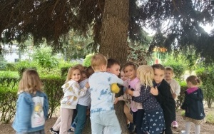 Ruch drogowy  (3)