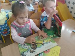Krasnale poznają zasady ruchu pieszych (2)