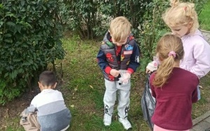 32. Akcja Sprzątanie Świata - ,,W naturę z kulturą" (1)