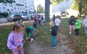Słoneczka poznają pogodę (7)