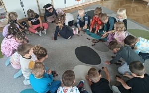 Owoce i warzywa (1)