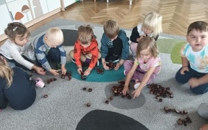 Owoce i warzywa (2)