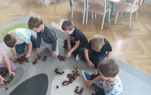 Owoce i warzywa (3)