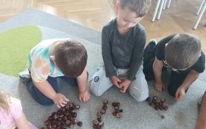 Owoce i warzywa (4)