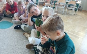 Owoce i warzywa (2)