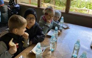 Wycieczka Słoneczek i Zuchów  (16)