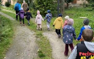 Wycieczka Słoneczek i Zuchów  (14)