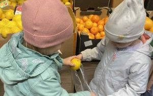 Owocowo warzywny tydzień w grupie Słoneczka  (3)