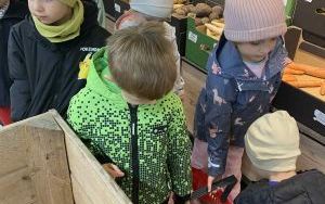 Owocowo warzywny tydzień w grupie Słoneczka  (10)