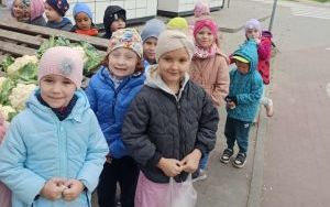 Warzywno - owocowe odkrycia w grupie Zuchy (9)