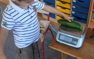 Zajęcia naukowo techniczne - matematyka ,,Oleśnickie Bystrzaki" Zuchy (10)