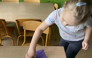 Słoneczka poznają zawód listonosza  (2)