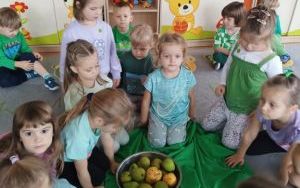 Tydzień kolorów  (5)