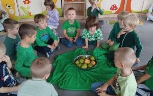 Tydzień kolorów  (6)