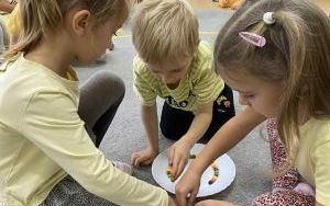 Dzień Edukacji Narodowej - Tydzień kolorów w grupie „Słoneczka”  (19)
