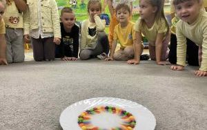 Dzień Edukacji Narodowej - Tydzień kolorów w grupie „Słoneczka”  (4)
