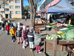 Krasnale poznają zdrowe jesienne warzywa (2)