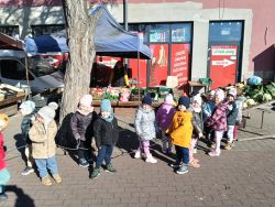 Krasnale poznają zdrowe jesienne warzywa (18)