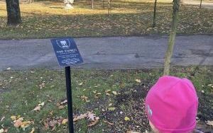 Znicz pamięci - wizyta Słoneczek na cmentarzu  (1)